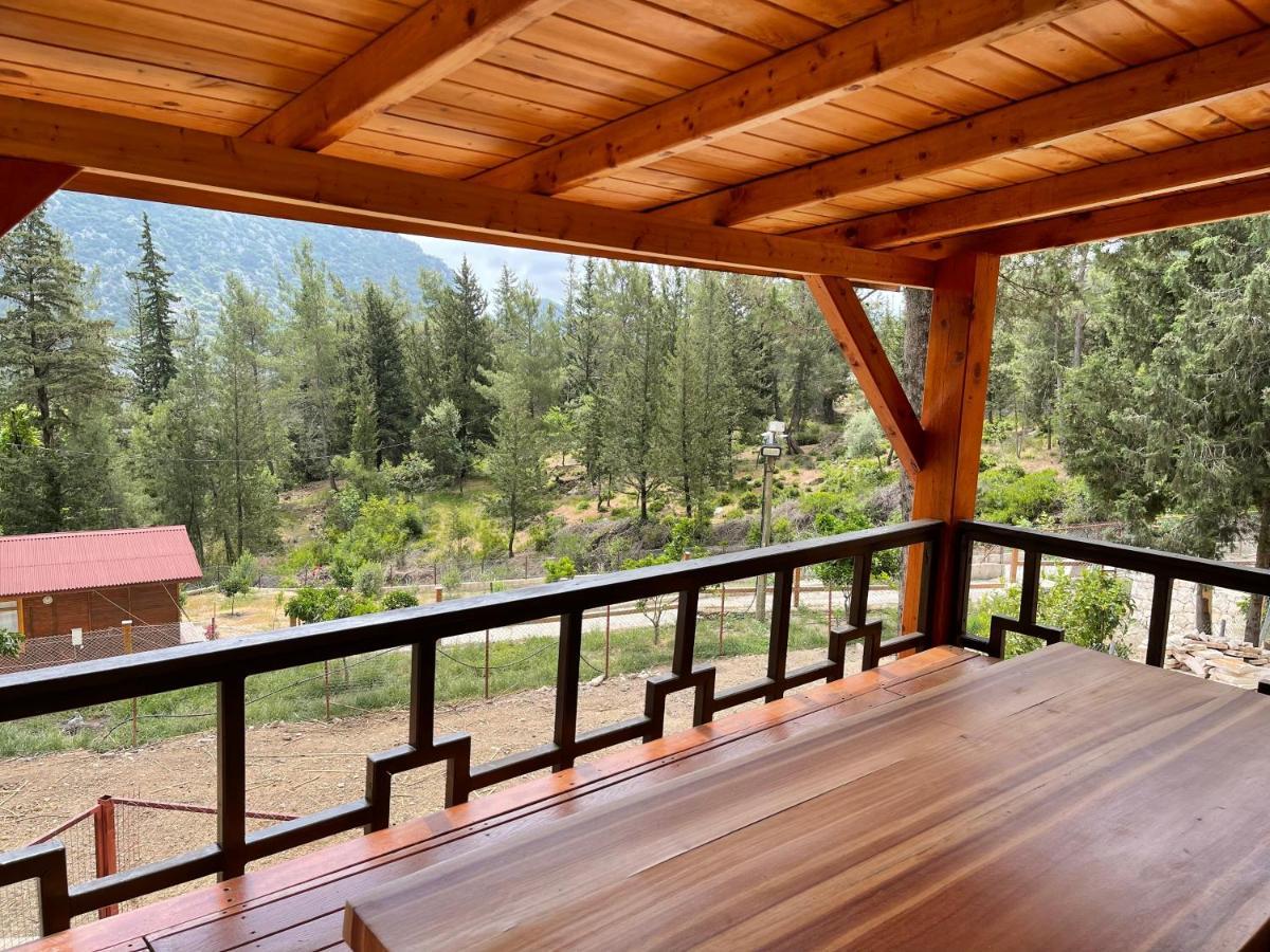 Trinitys Forest Bungalows 凯梅尔 外观 照片