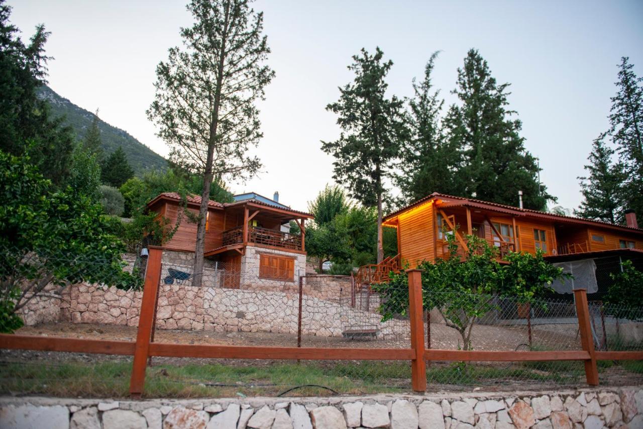 Trinitys Forest Bungalows 凯梅尔 外观 照片