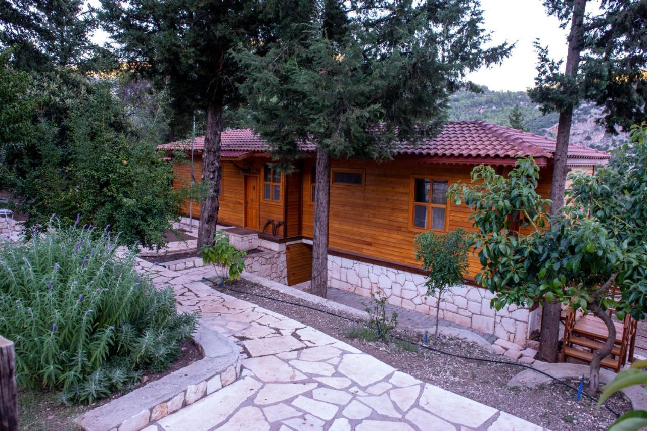 Trinitys Forest Bungalows 凯梅尔 外观 照片