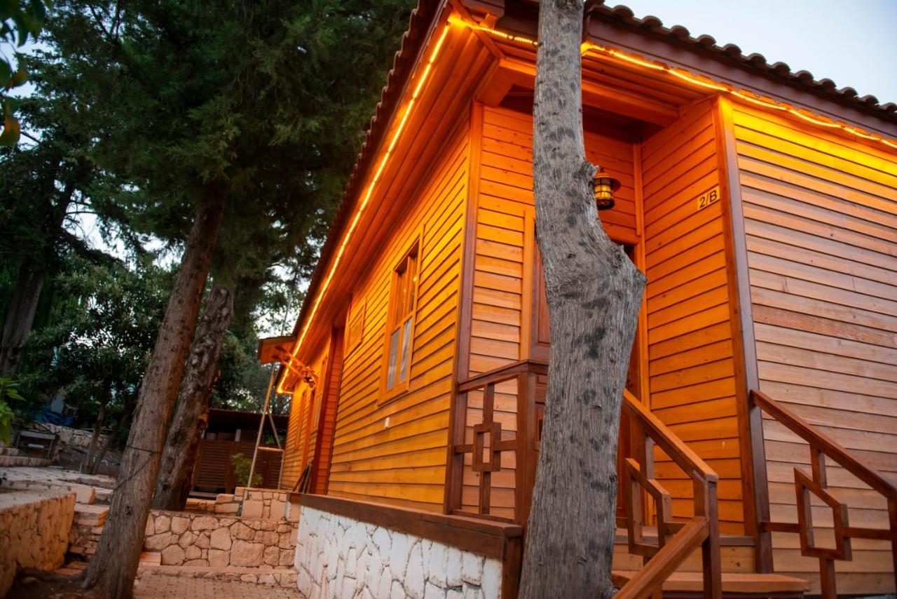 Trinitys Forest Bungalows 凯梅尔 外观 照片