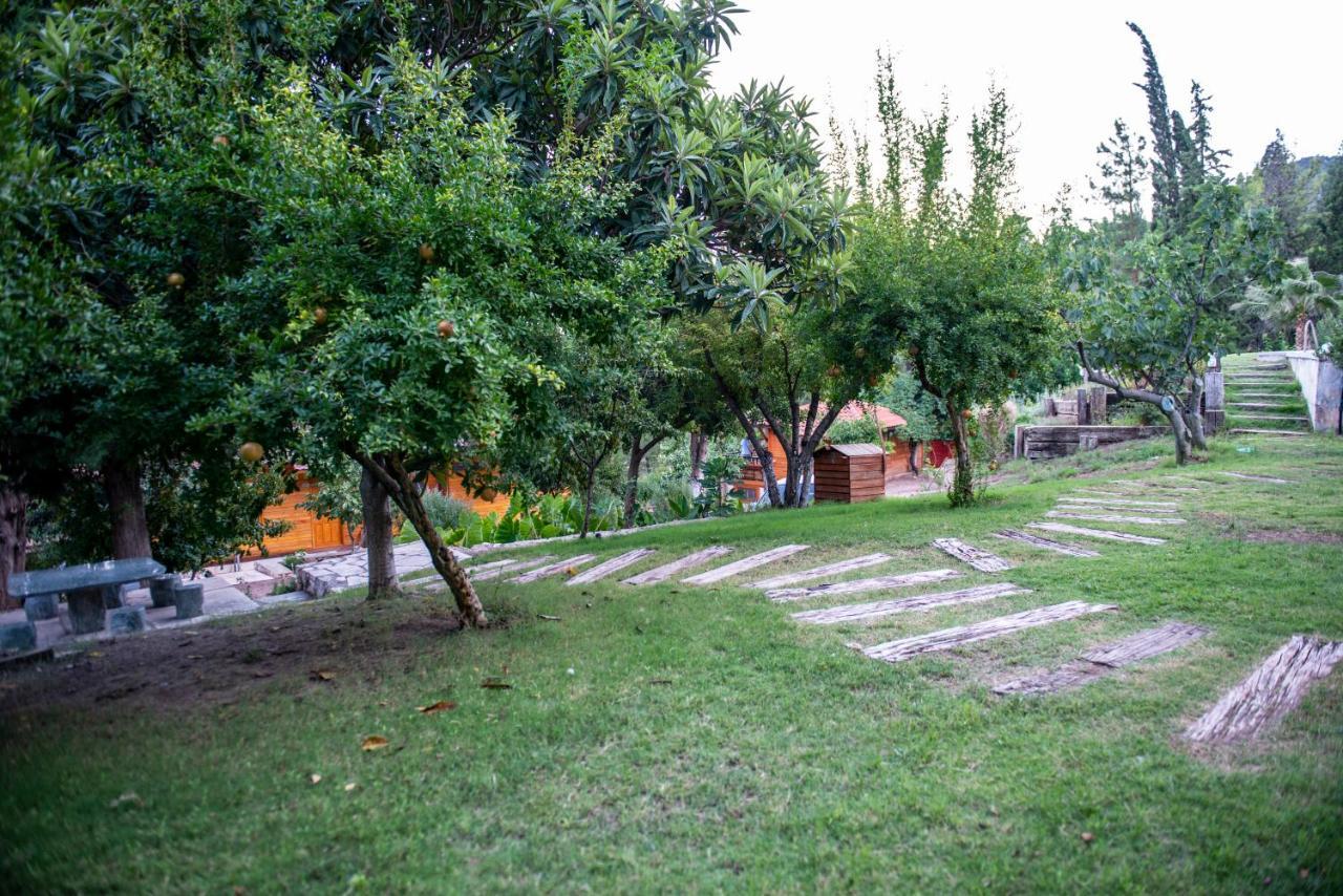 Trinitys Forest Bungalows 凯梅尔 外观 照片