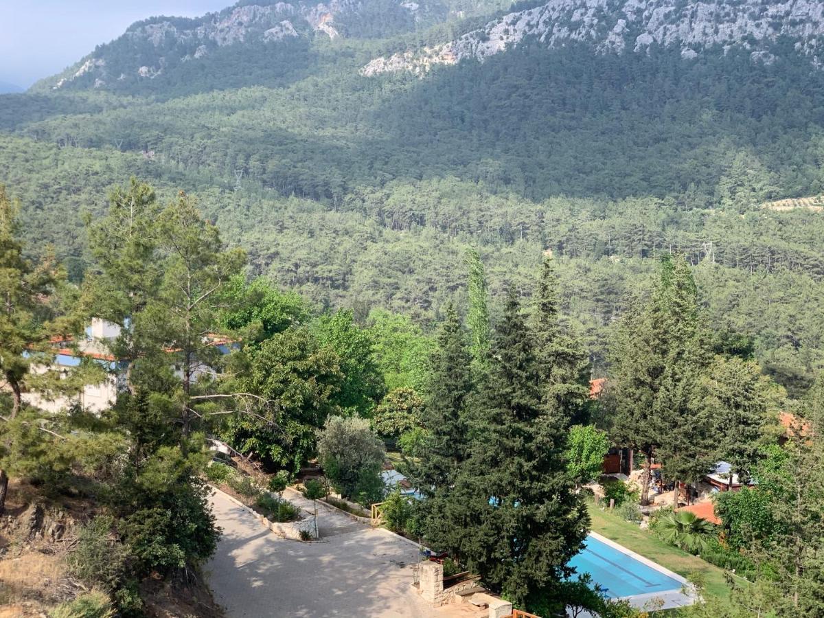 Trinitys Forest Bungalows 凯梅尔 外观 照片