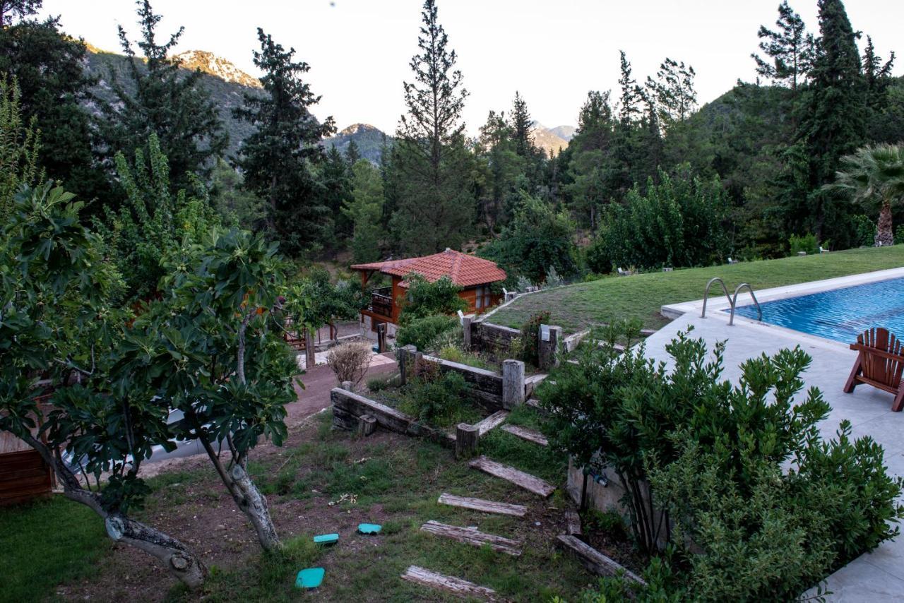 Trinitys Forest Bungalows 凯梅尔 外观 照片