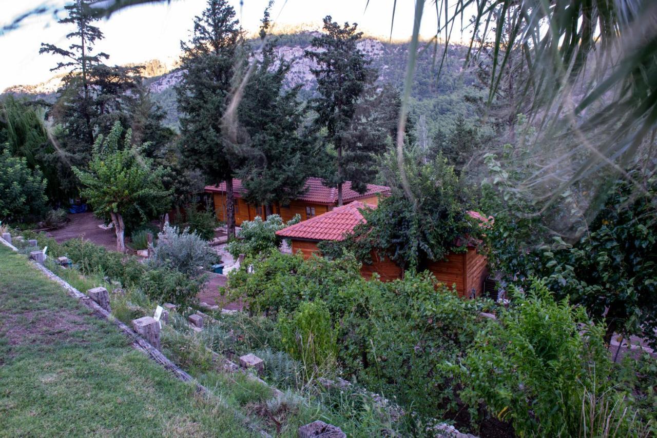 Trinitys Forest Bungalows 凯梅尔 外观 照片