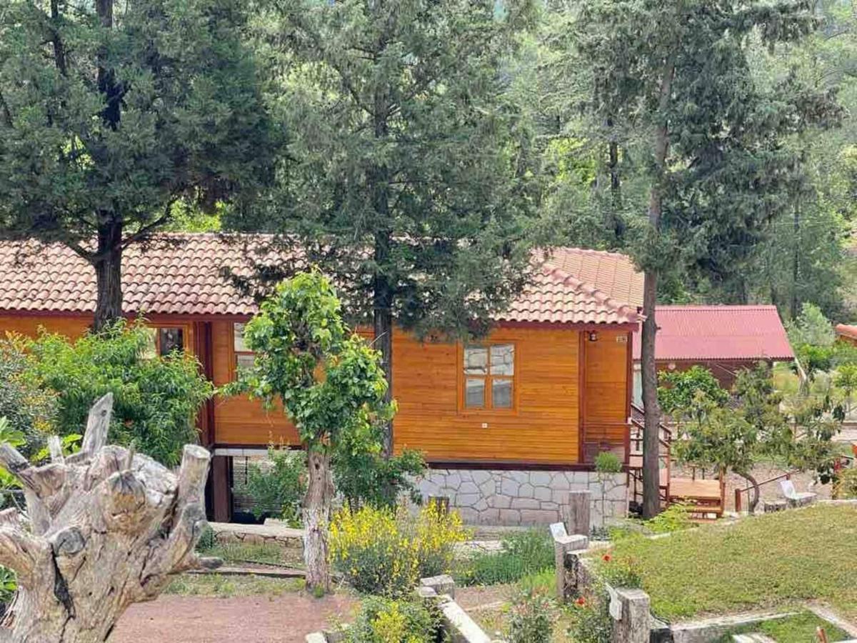 Trinitys Forest Bungalows 凯梅尔 外观 照片