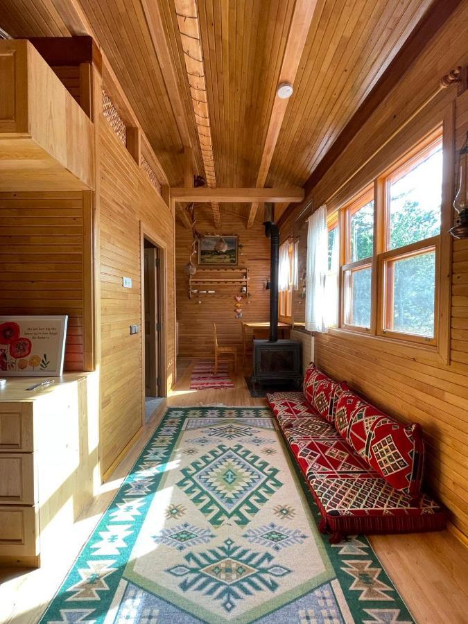 Trinitys Forest Bungalows 凯梅尔 外观 照片