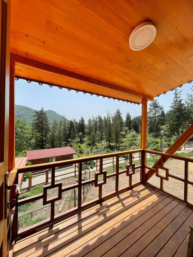Trinitys Forest Bungalows 凯梅尔 外观 照片