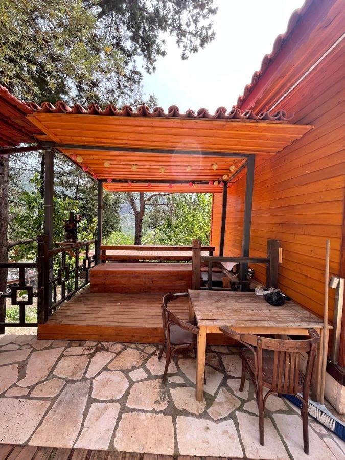 Trinitys Forest Bungalows 凯梅尔 外观 照片