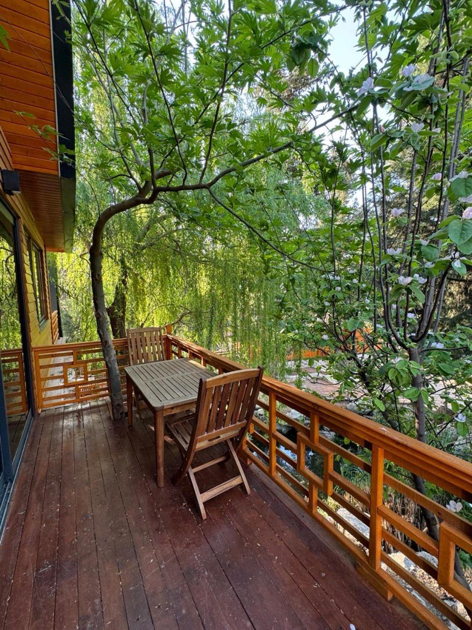 Trinitys Forest Bungalows 凯梅尔 外观 照片