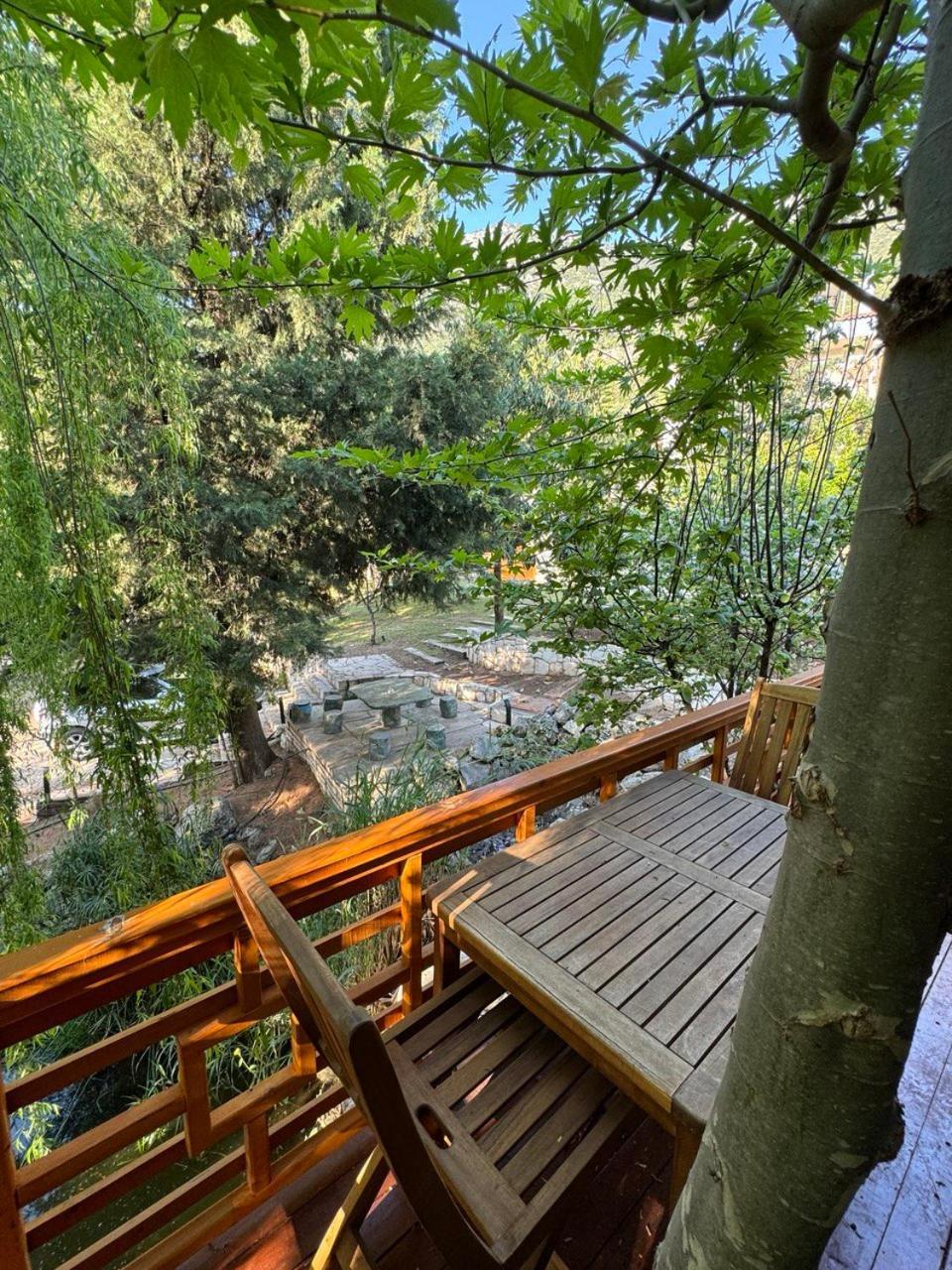 Trinitys Forest Bungalows 凯梅尔 外观 照片