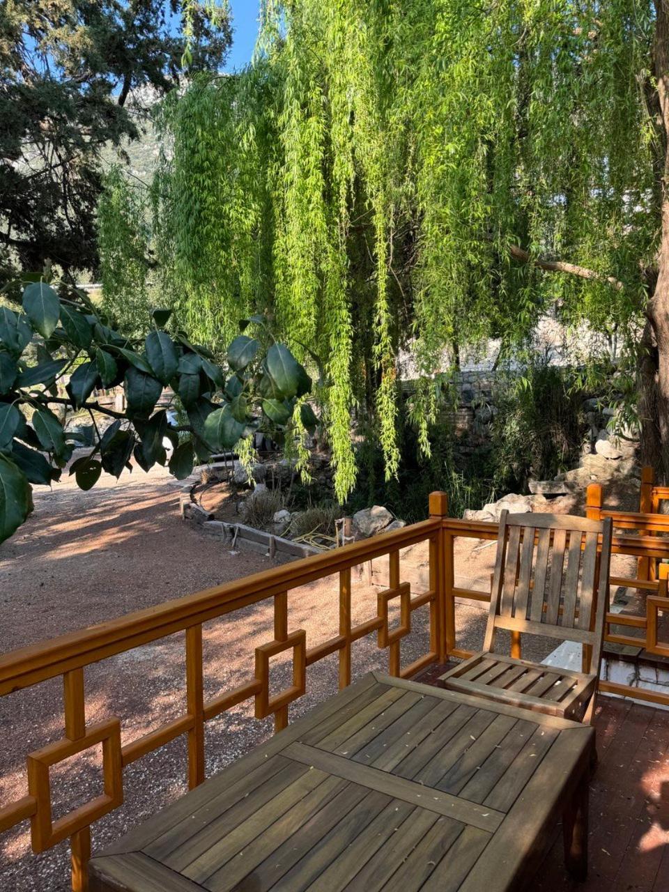 Trinitys Forest Bungalows 凯梅尔 外观 照片