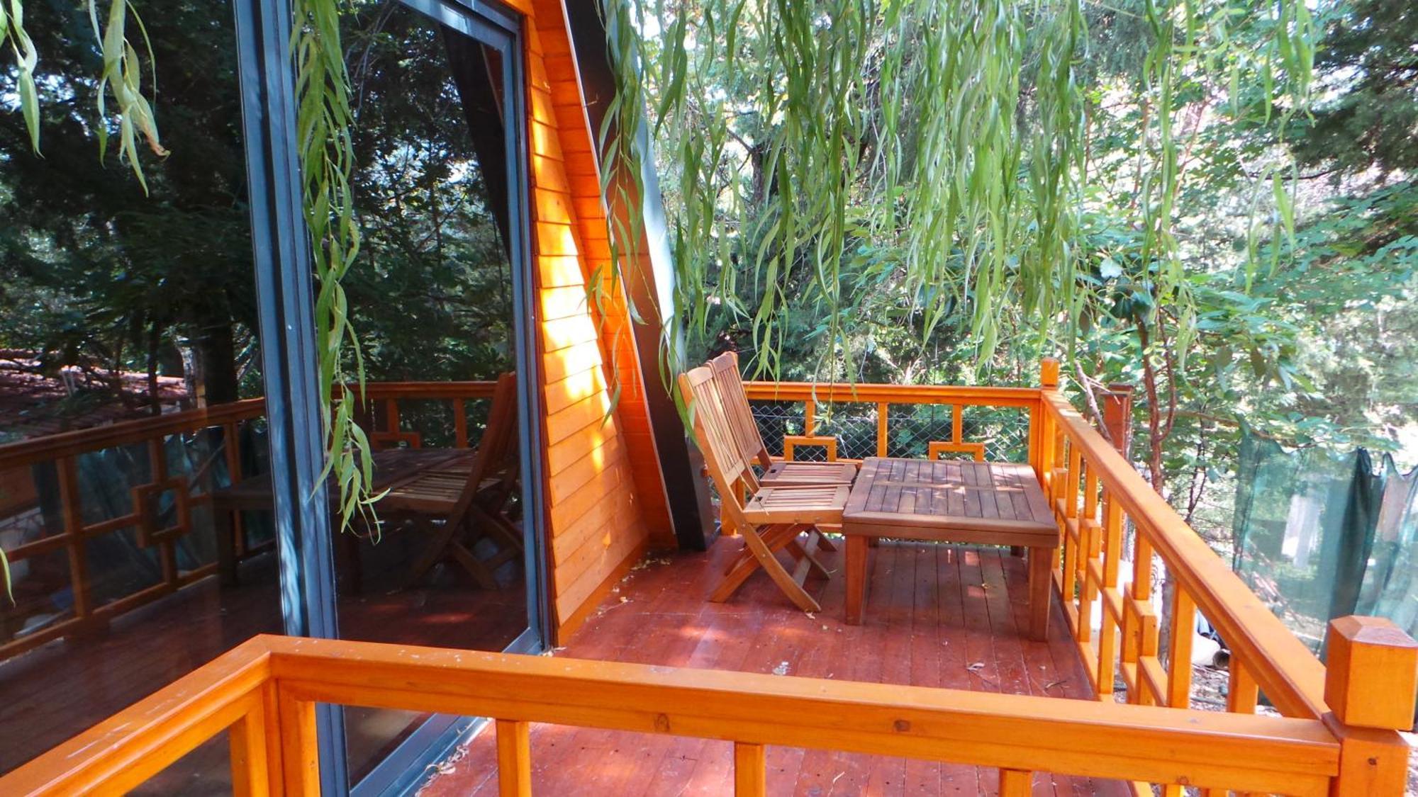 Trinitys Forest Bungalows 凯梅尔 外观 照片