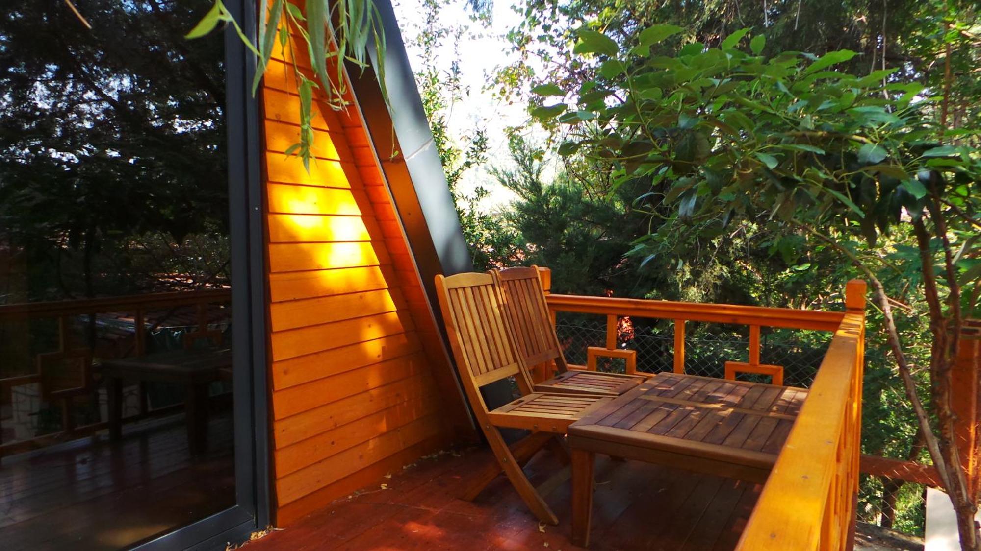 Trinitys Forest Bungalows 凯梅尔 外观 照片