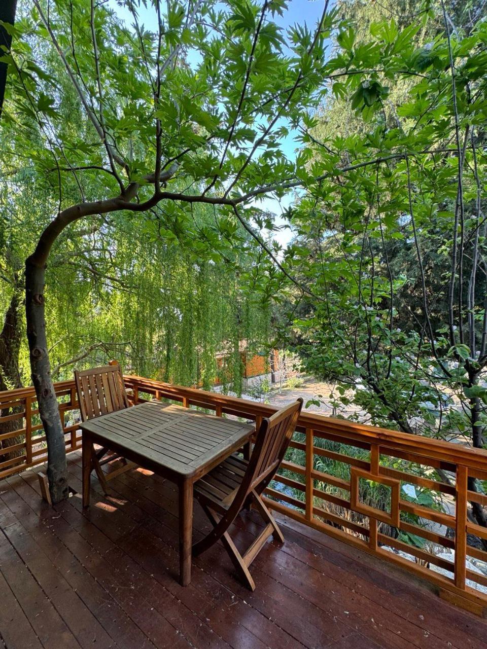 Trinitys Forest Bungalows 凯梅尔 外观 照片