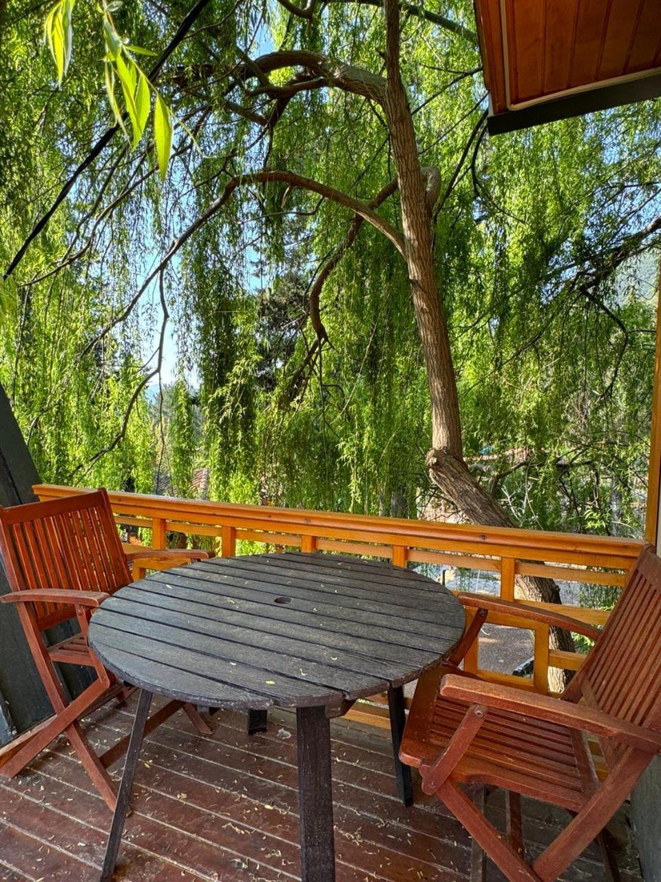Trinitys Forest Bungalows 凯梅尔 外观 照片